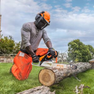 Agricultura Silvicultura